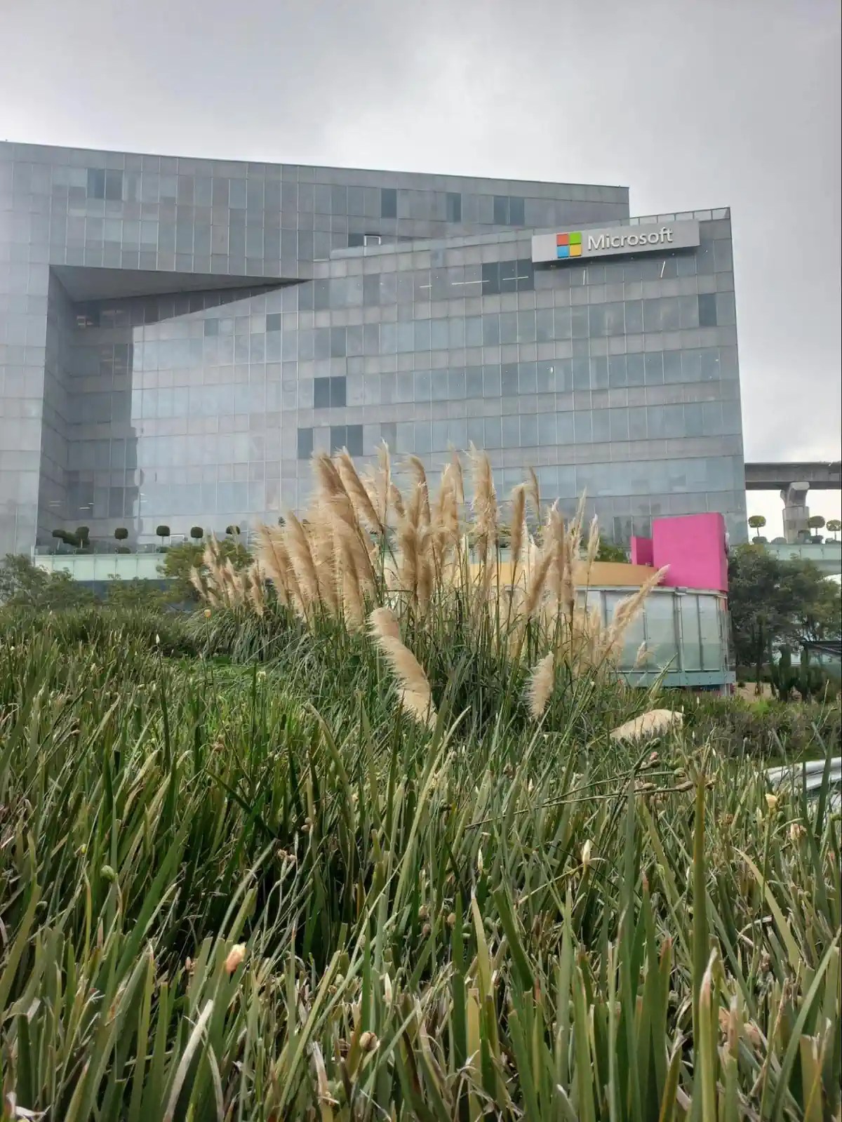 Advantages of Microsoft Office 2013 for education