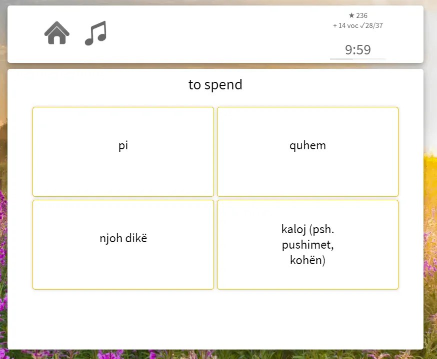 17 Minute Languages Review I Wouldn't Using It