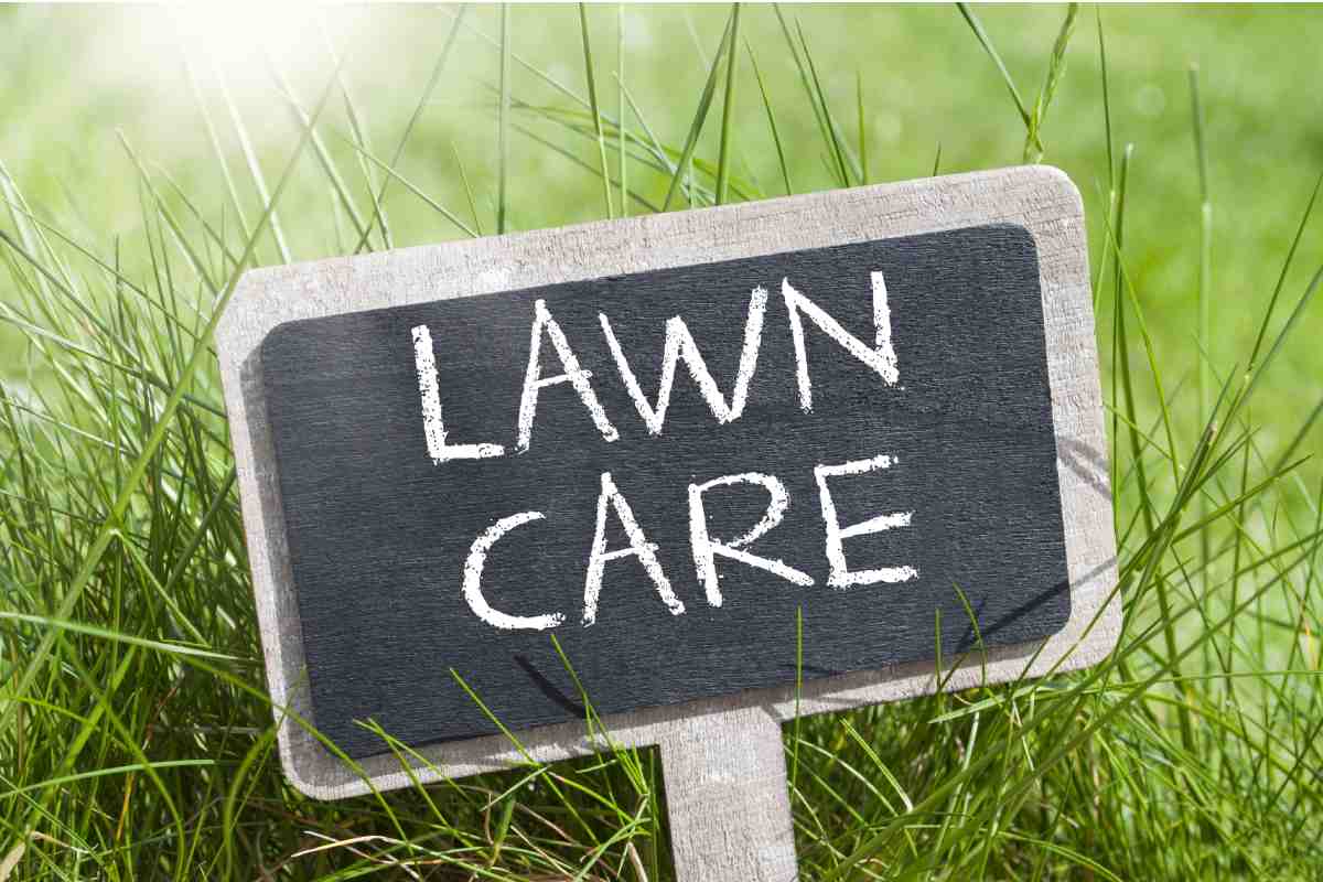 How To Run A Profitable Lawn Care Business