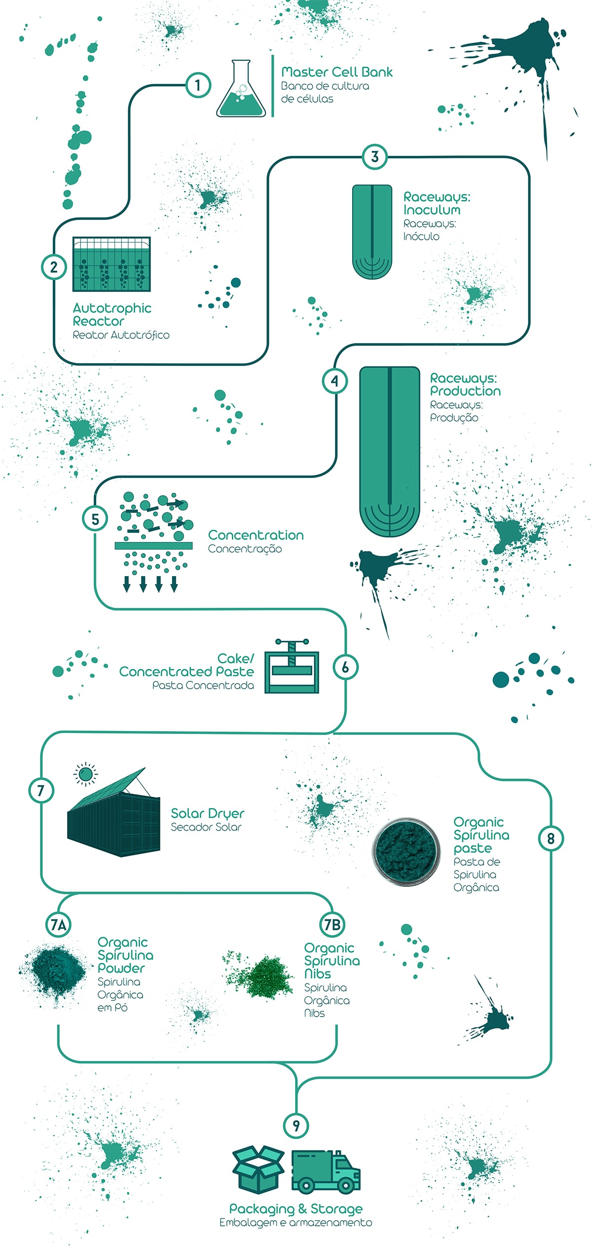 Spirulina Cultivation Methods