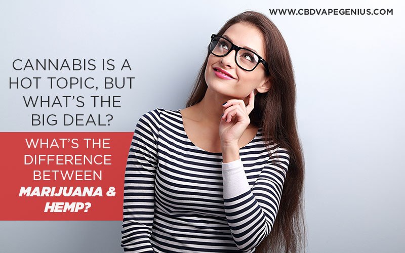 Why is Hemp Oil So Good for You?