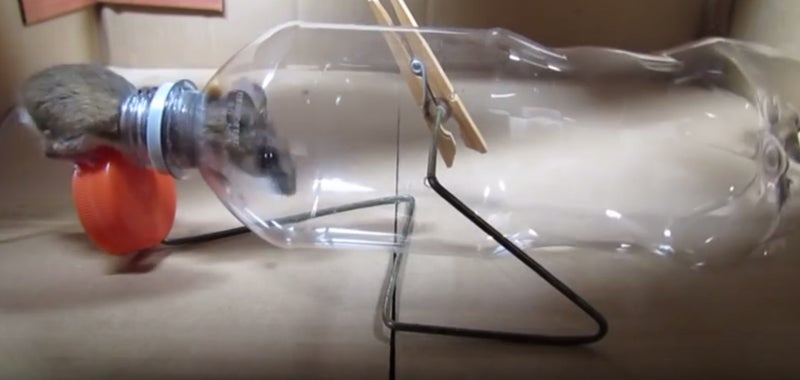 Video Bottle + Coat Hanger = Humane Mouse Trap AllOutdoor