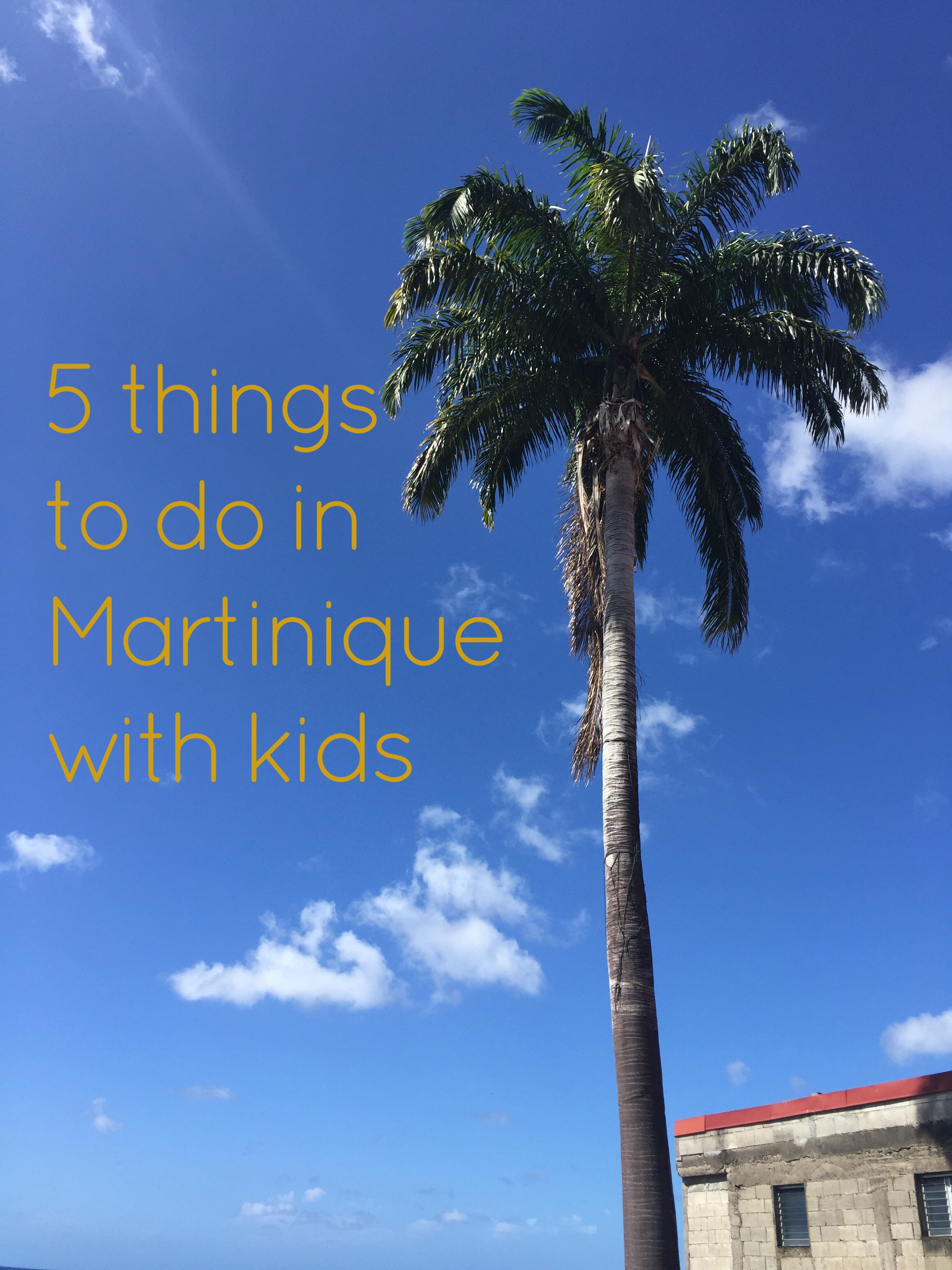 5 Things to do in Martinique with Kids All Over the Map
