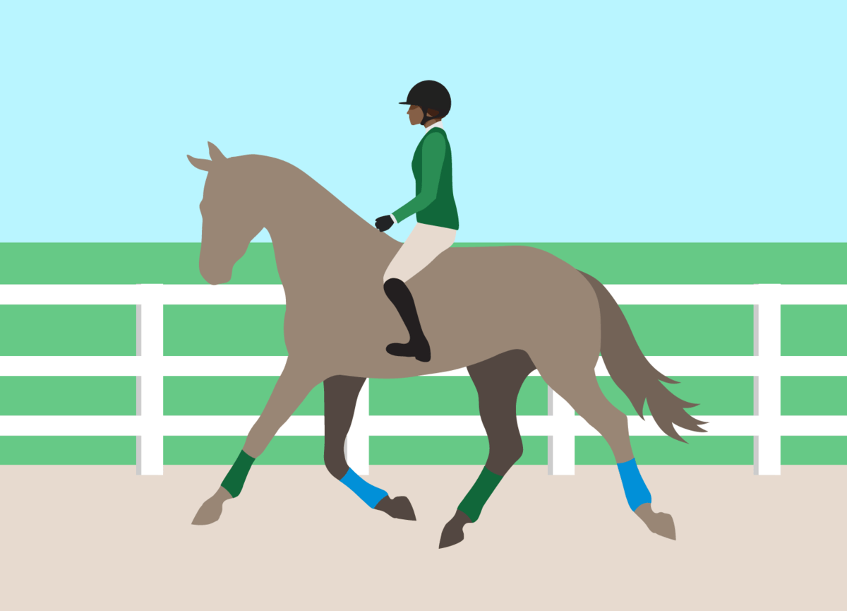 Posting Trot Diagonals Explained. Learning Games & Quiz Allpony