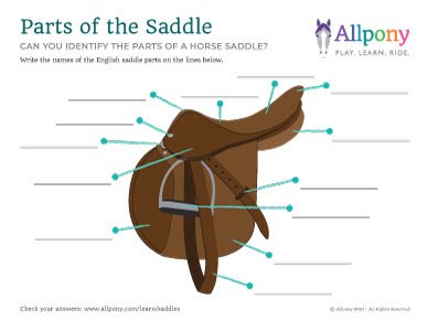 Pony parts, colors, markings, and breeds. Tack Bits Activity Sheets Allpony