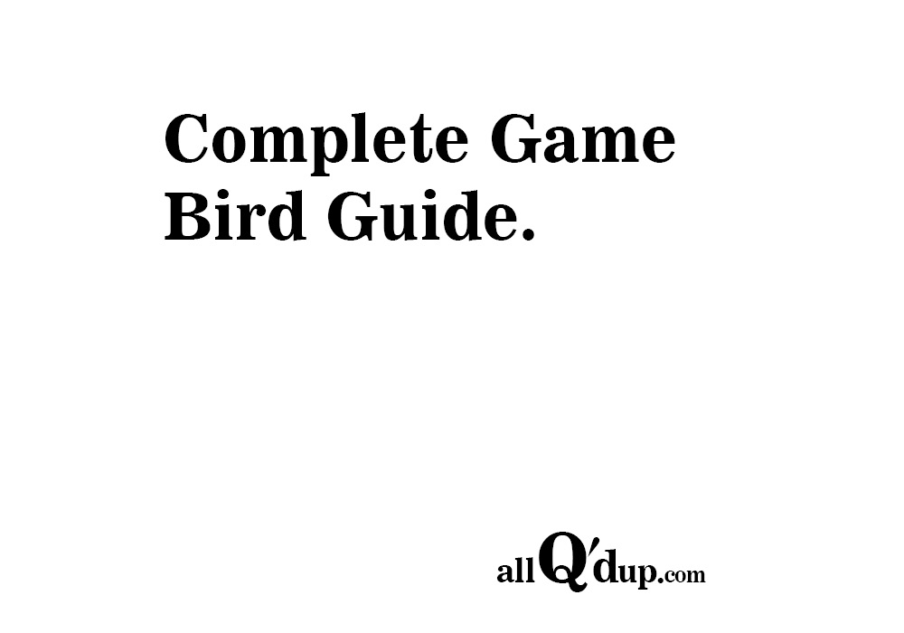 Game Bird Classifications and Grading All Qd Up