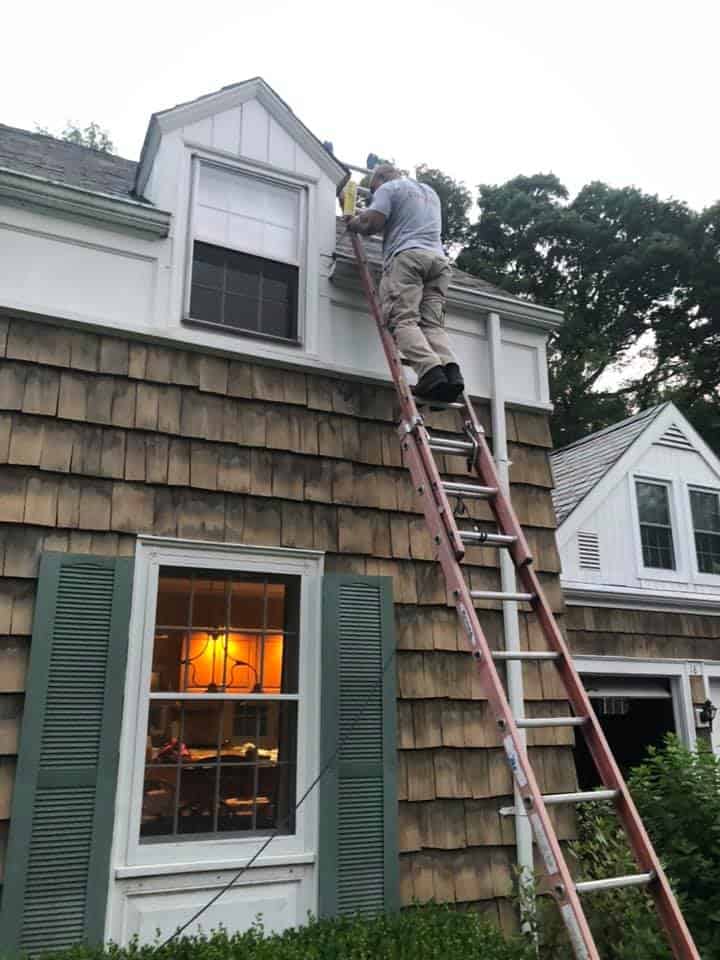 About All Star Pest Albany NY About All Star Exterminator Albany NY