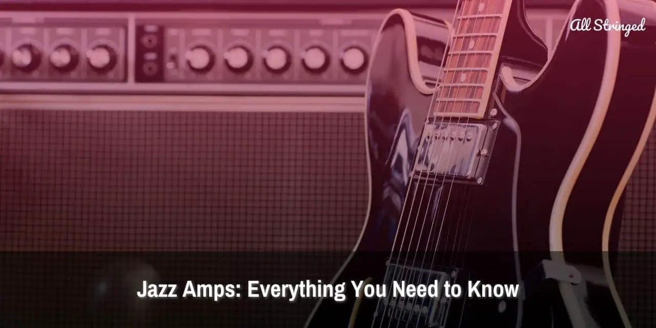 Jazz Amps Everything You Need To Know All Stringed