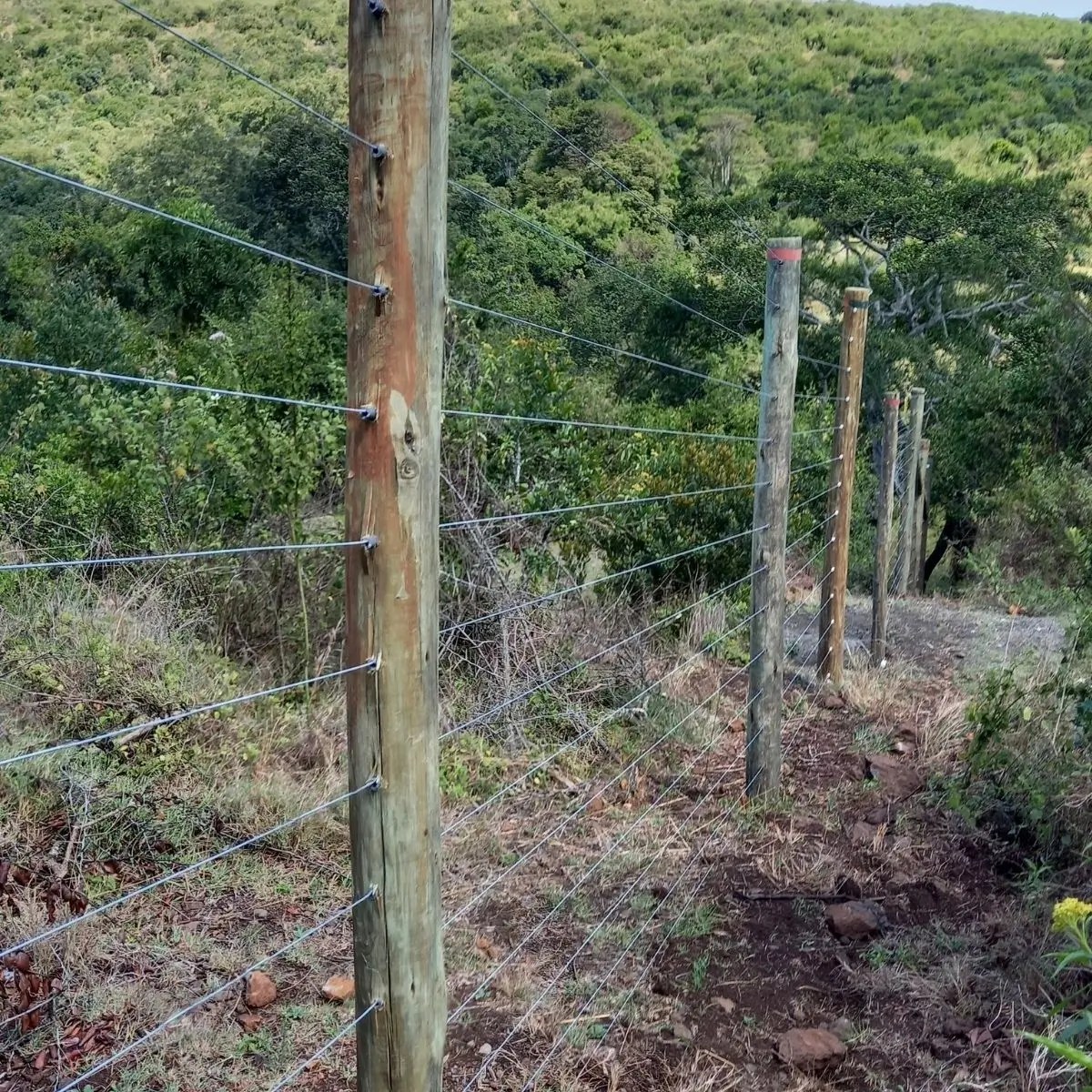 Free standing electric fence prices in Kenya Alltech Kenya Shop