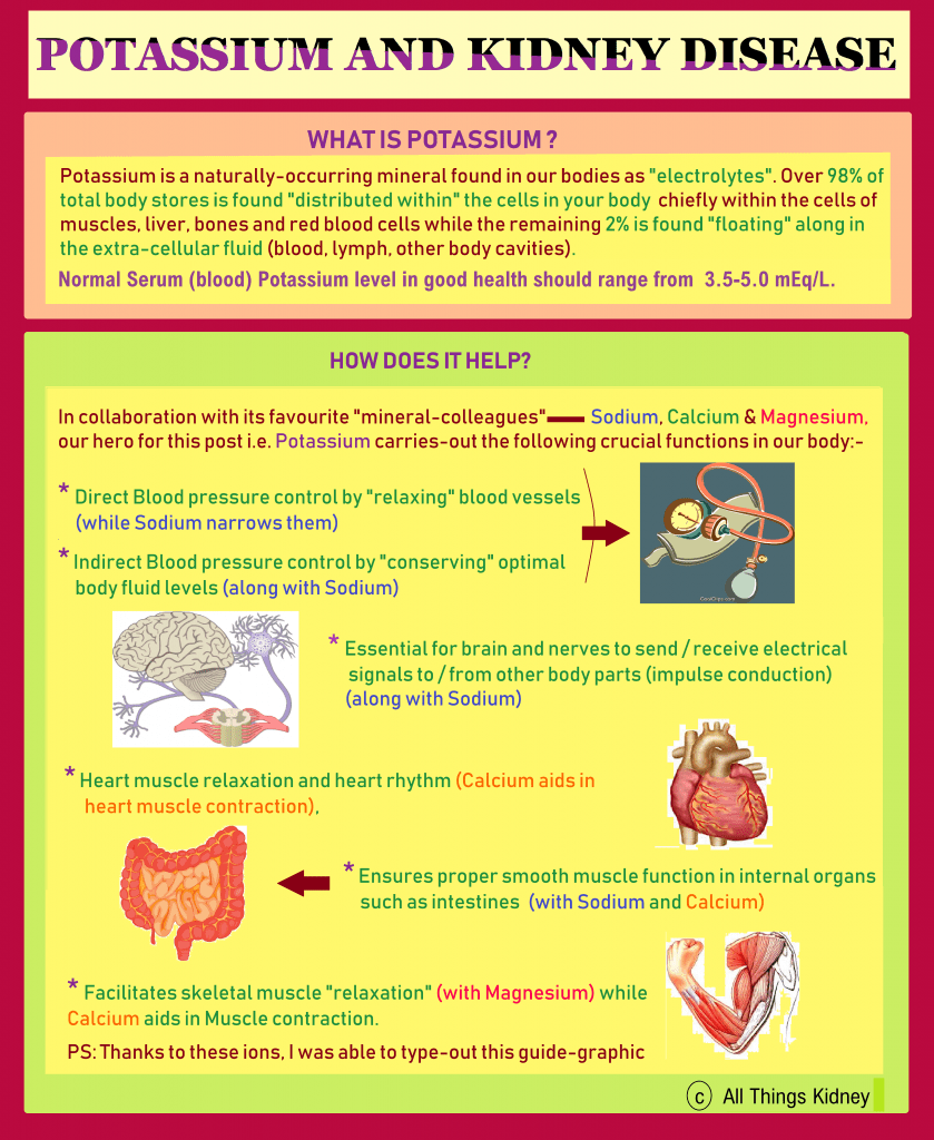 Kidney Disease Dietary Guidelines Kidney Failure Disease