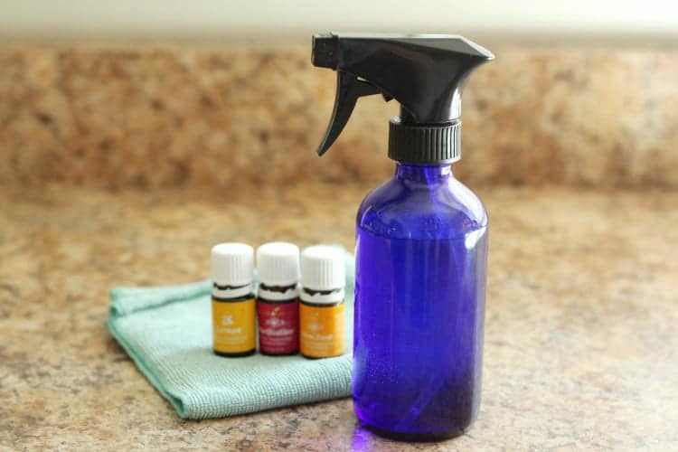 DIY All Natural Window Cleaner All Things Mamma