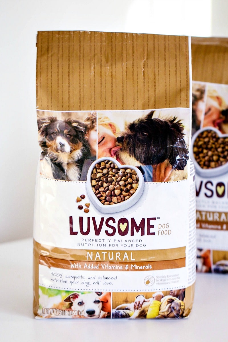 How To Show Your Furry Friend Lots of Love All Things Mamma