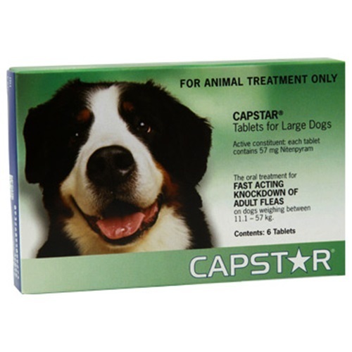 Capstar for dogs 11.157kg 6 Tablets All Things Pets & Pool