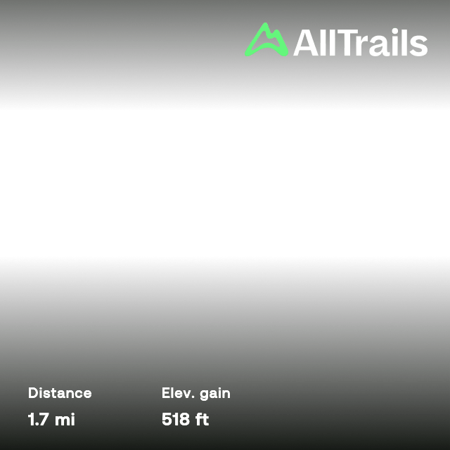 Burrawang Walking Track, New South Wales, Australia 20 Reviews, Map