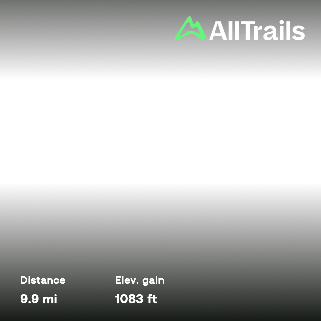 Meadow Creek Trail and Allegheny Mountain Trail Loop, West Virginia 5