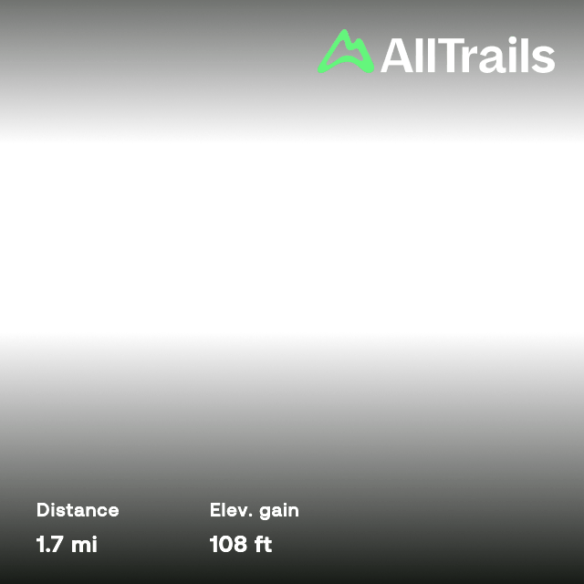 Root Walk Way Hidden Midden Porcupine Way, Ontario, Canada 64