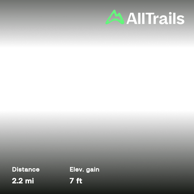 Camp Lonesome Short Loop, Florida 10 Reviews, Map AllTrails