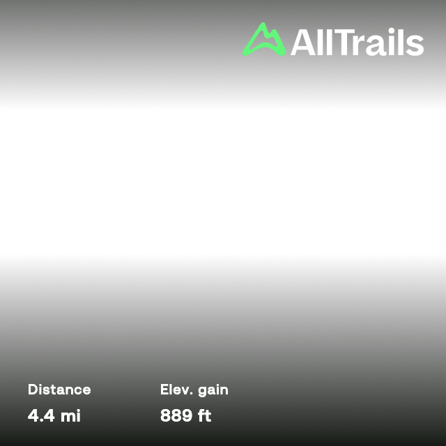 Wilburn Ridge via Appalachian Trail [CLOSED], Virginia 2,137 Reviews