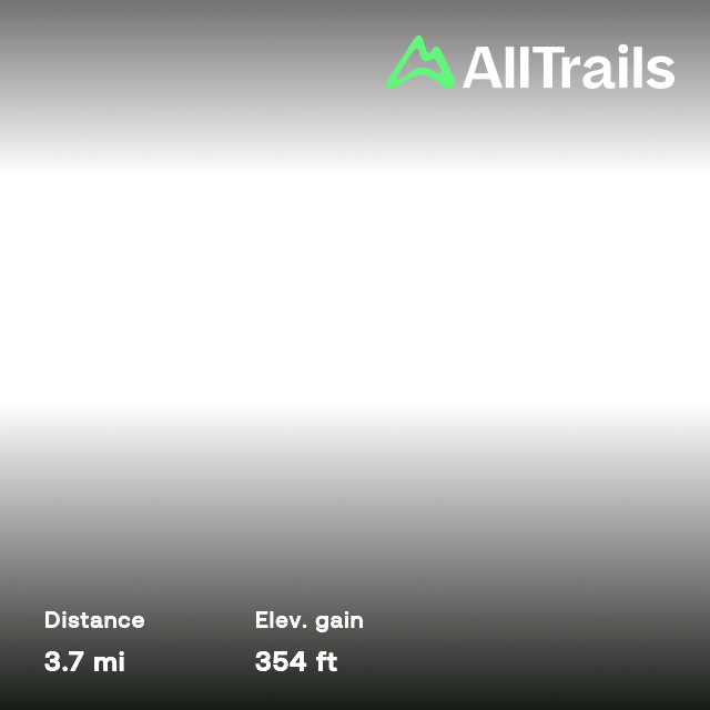 Blanchard Woods Cross Country Trail, 493 Reviews, Map AllTrails