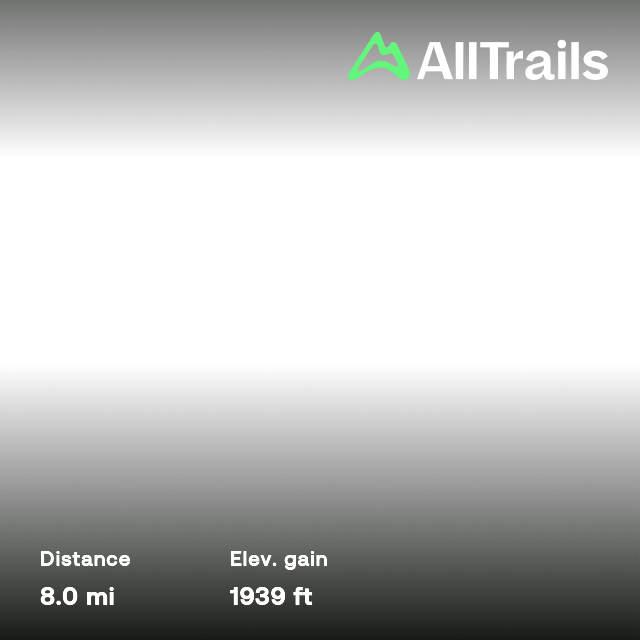 Mountain Lookout via Rat Lake, Montana 62 Reviews, Map AllTrails