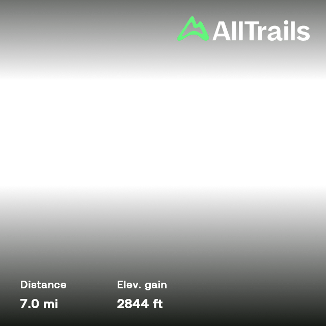 Mount Somers Track to Woolshed Creek Hut via Pinnacles Hut, Canterbury