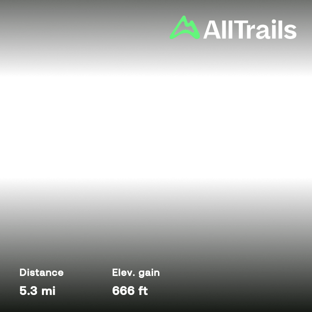 Lymm to Rushgreen Circular, Cheshire, England 61 Reviews, Map AllTrails