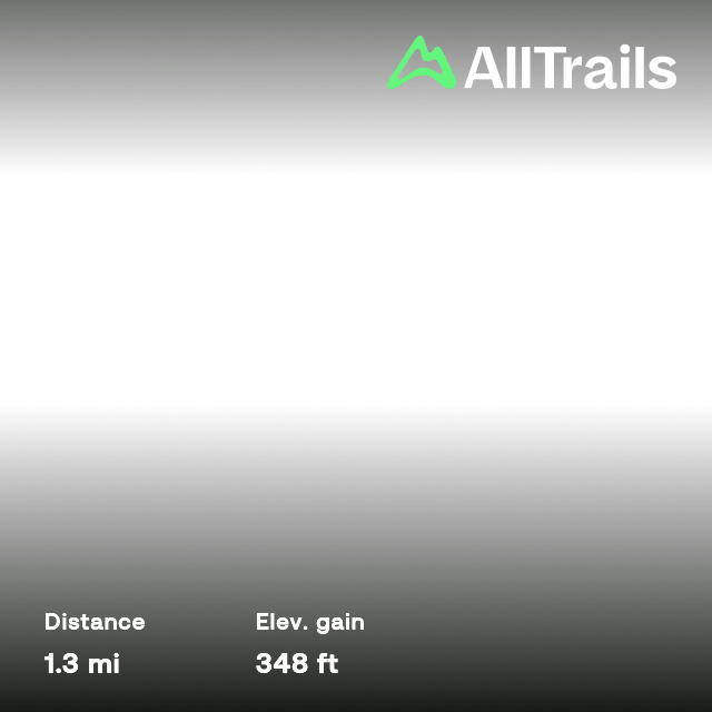 Bat Cave, Trinity Palmetto Point, Saint Kitts and Nevis 38 Reviews