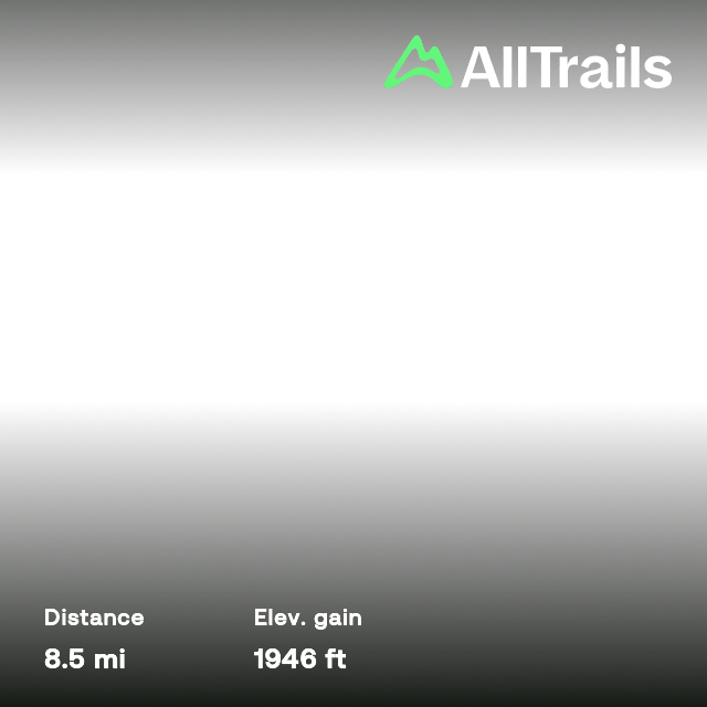 Old Kirk Road from Bravelaw to Penicuik, Edinburgh, Scotland 26