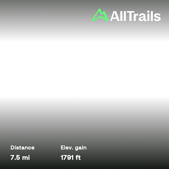 Maratoto Wentworth Crossing, Waikato, New Zealand 8 Reviews, Map AllTrails