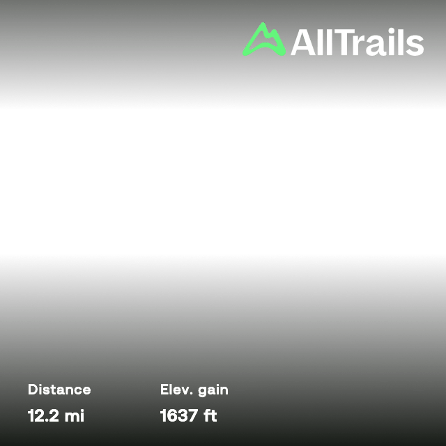 Nerriga Road to Corang Lagoon, New South Wales, Australia Map, Guide