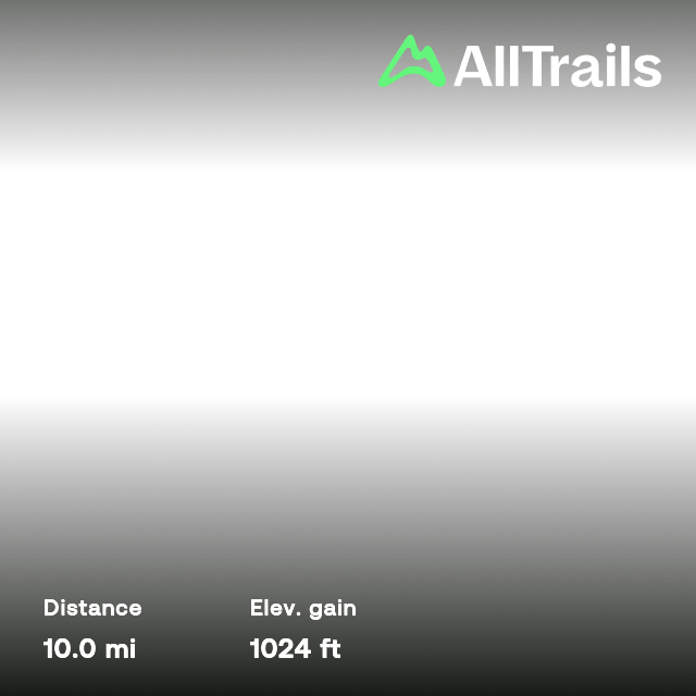 Great Southern Rail Trail Loch to Korumburra, Victoria, Australia 30