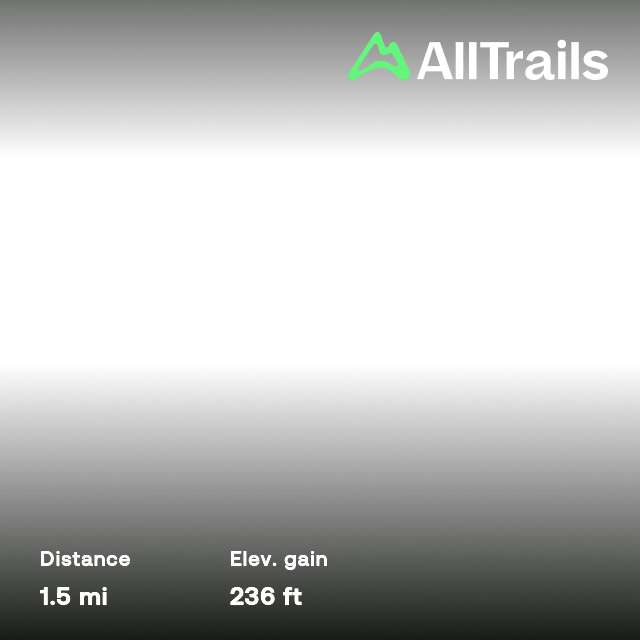 North Jay White Granite Park Loop 2 fotos Maine AllTrails