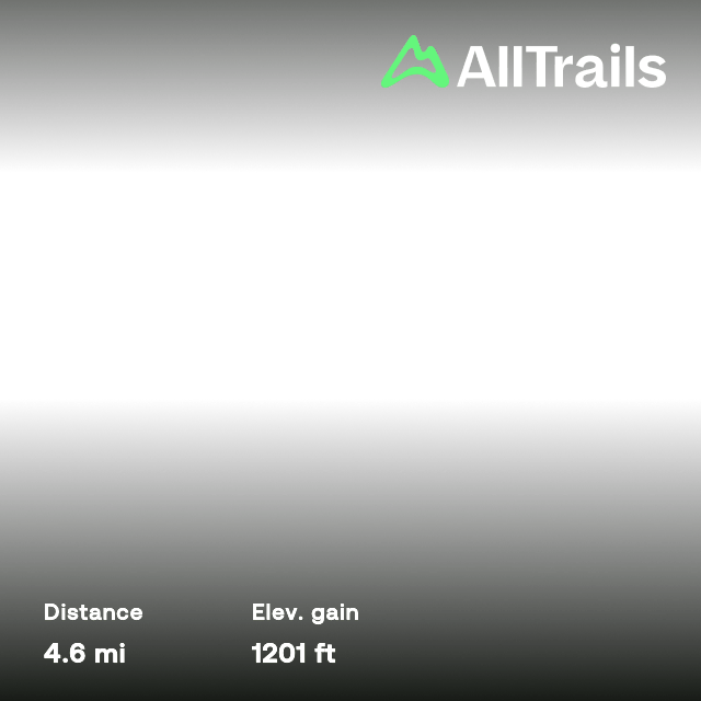 Weldon Wagon Road Trail, Washington 503 Reviews, Map AllTrails