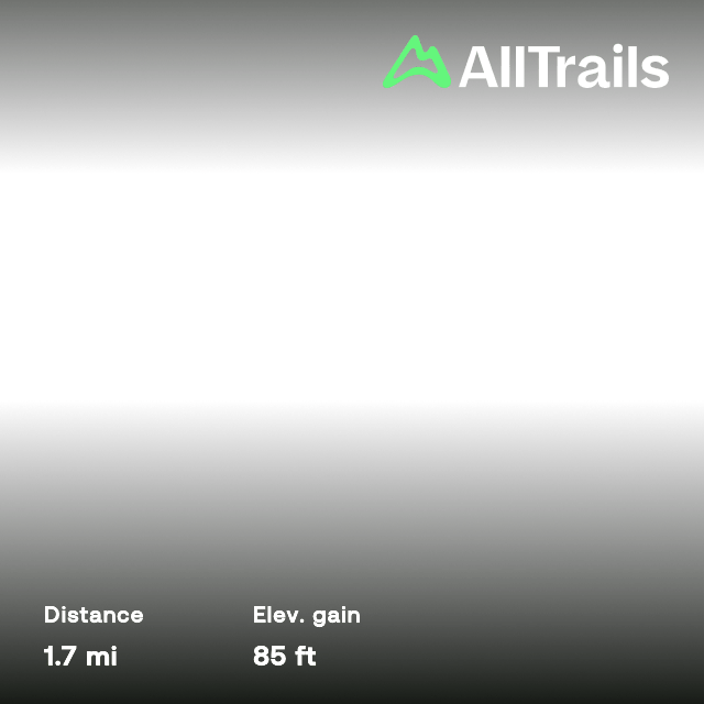 Gå til sumpen ved Biologisk Station Alajuela, Costa Rica AllTrails