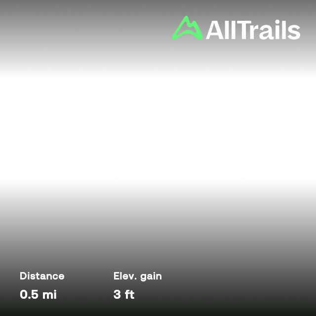 Lake Waccamaw Overlook Trail, North Carolina 23 Reviews, Map AllTrails