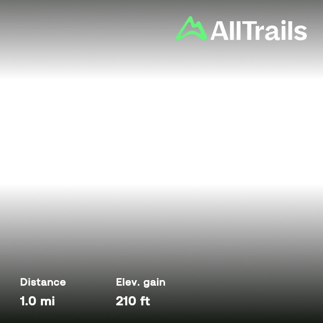 Johnson Lake, Minnesota 13 Reviews, Map AllTrails