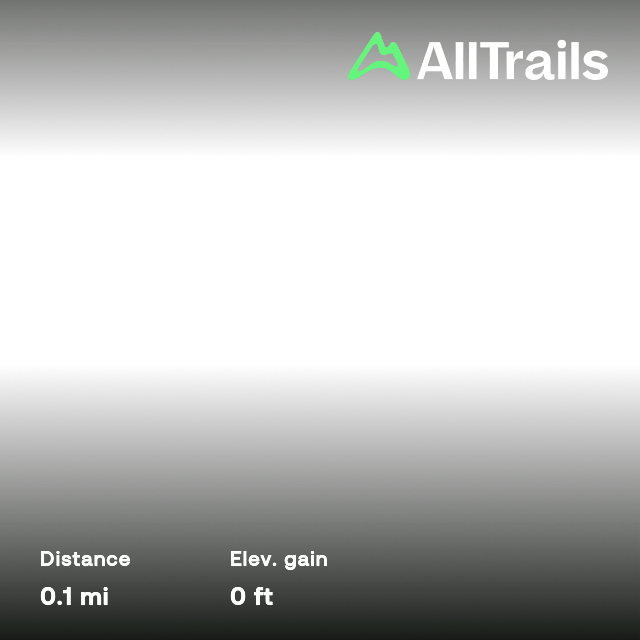 Pocologan Falls, New Brunswick, Canada 4 Reviews, Map AllTrails