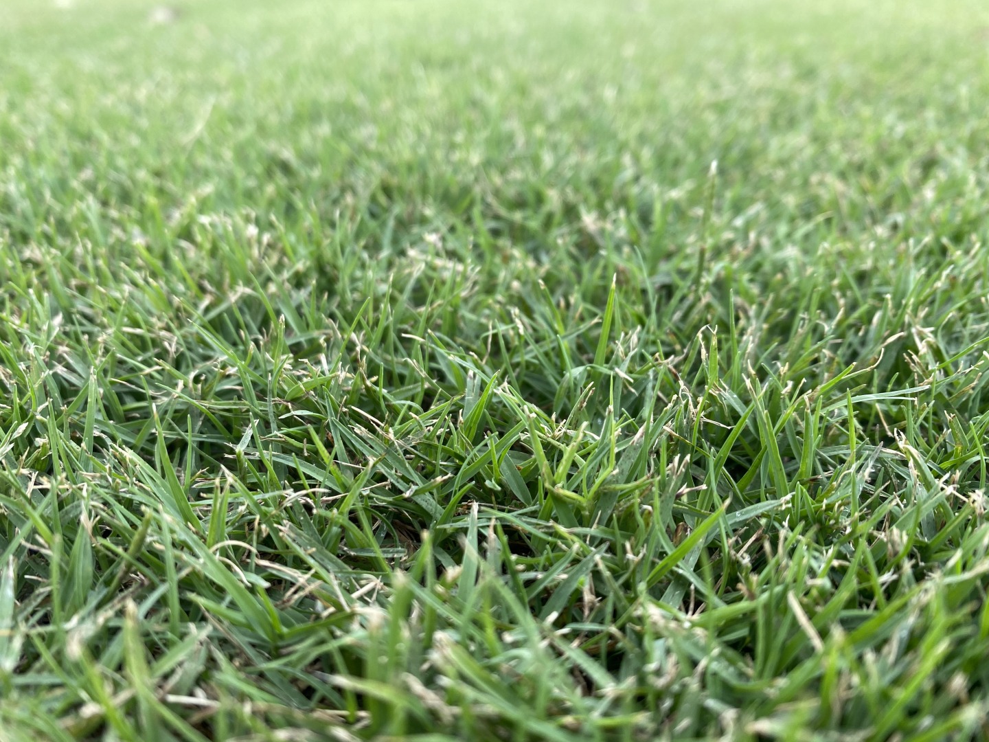 AgriDark All Turf Solutions