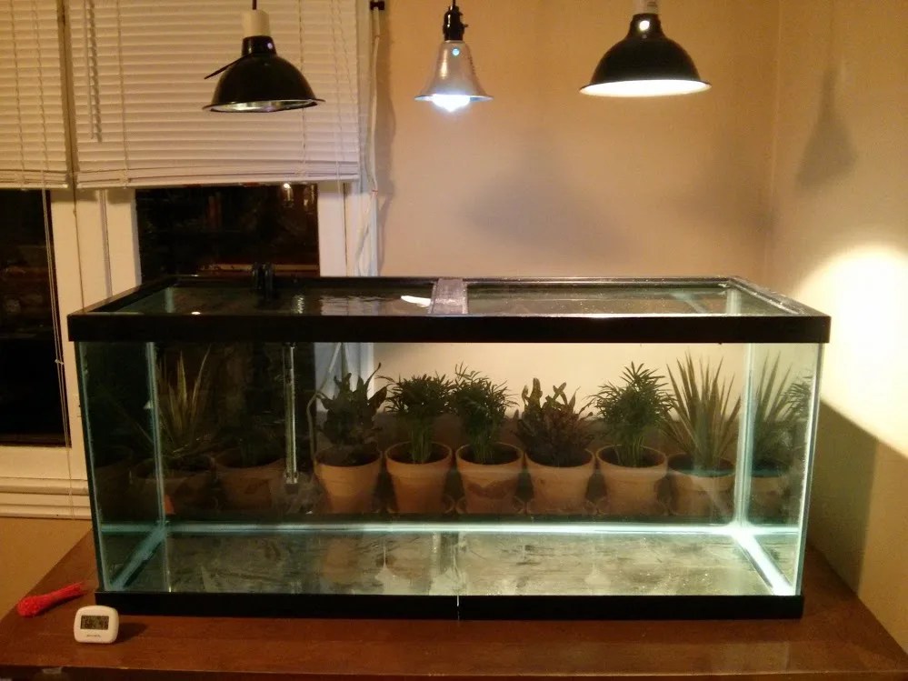 Gallon Turtle Tank