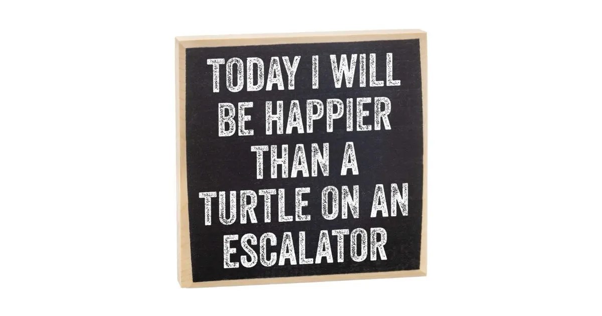 66 Turtle Gifts For Every Turtle Lover All Turtles