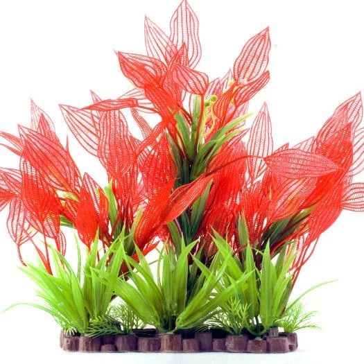 What Do RedEared Sliders Eat? All Turtles