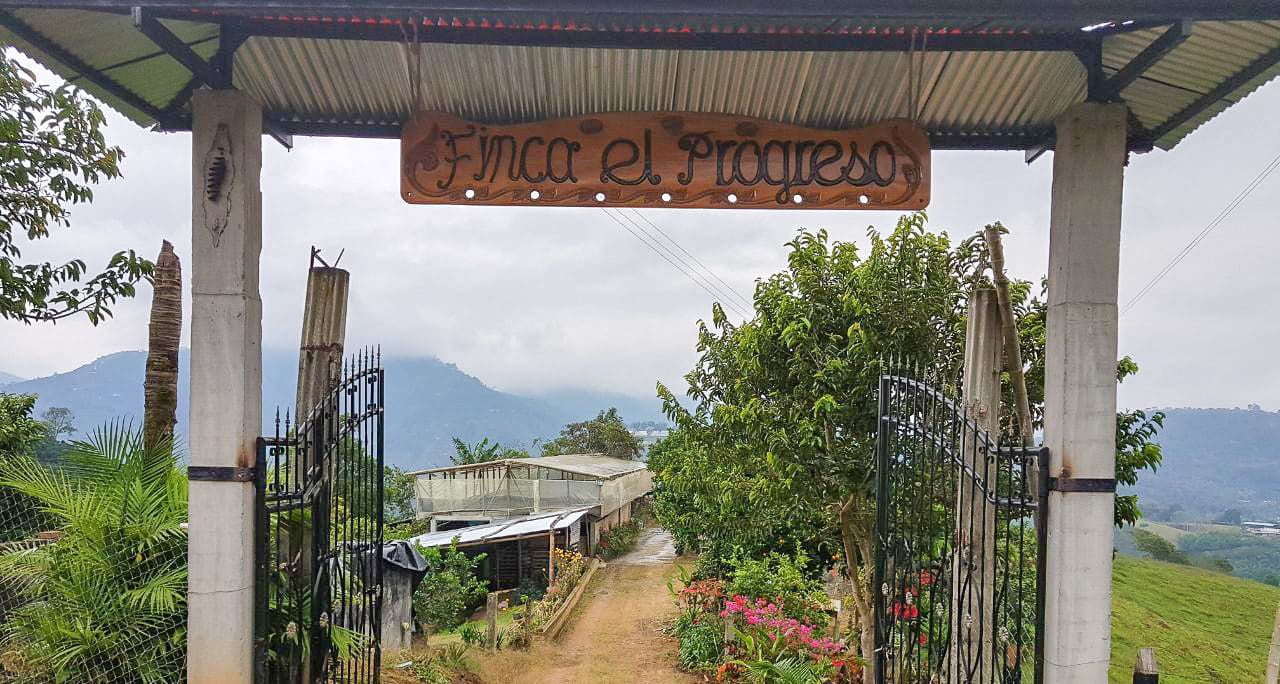 El Progreso Caturra/Colombia Double Fermentation Washed Ally Coffee