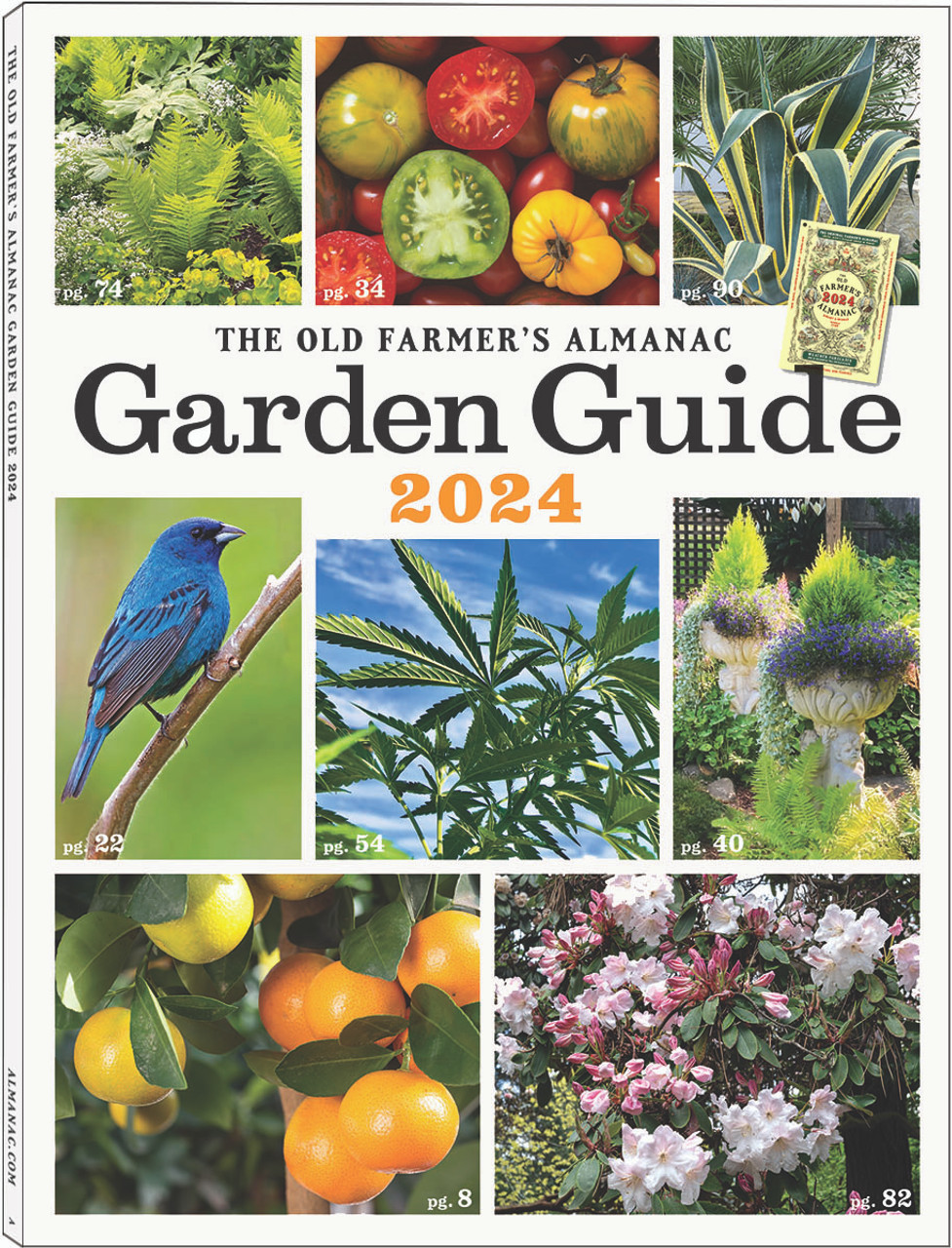 Almanac 2024 Planting Guide Minny Tamarah