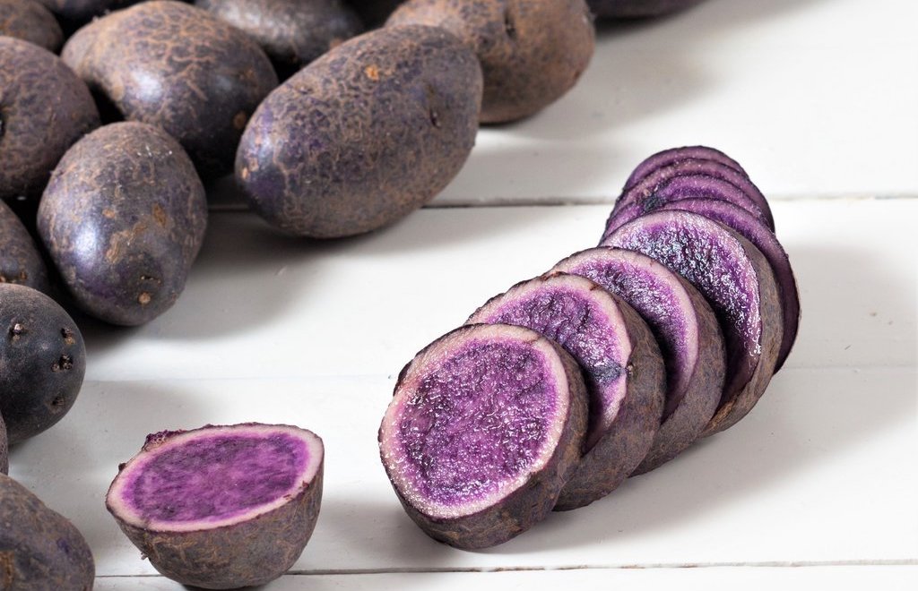 All Blue Potatoes Heirloom Spring Seeds The Old Farmer's Almanac
