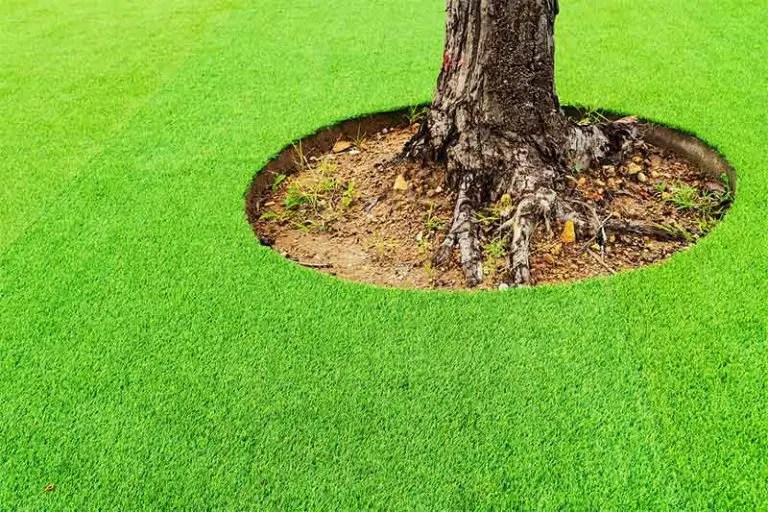 Artificial Grass Around Trees & Plants What You Need To Know