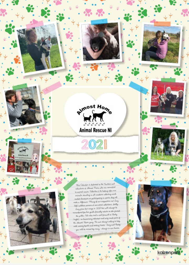 Almost Home 2021 Calendar - Almost Home Animal Rescue Ni