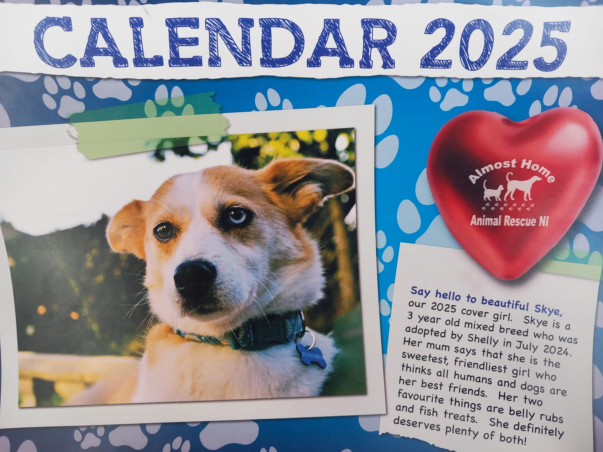 Almost Home 2025 Calendar Almost Home Animal Rescue NI Almost Home 2025 Calendar Almost Home Animal Rescue NI