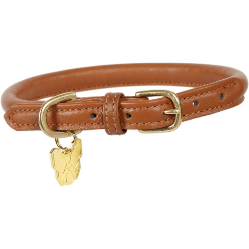 Rolled Leather Dog Collar Quick Release For Sale (2024 Update) Almost