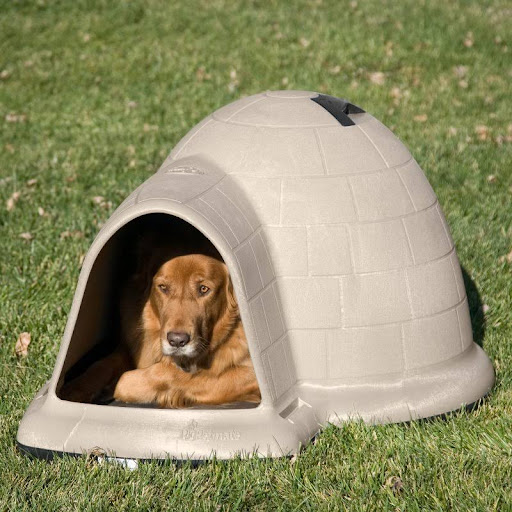 Igloo Dog House Replacement Parts For Sale (2024 Update) Almost Home