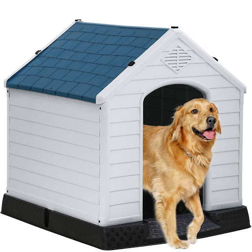 Underground Dog House For Large Dogs For Sale (2023 Update) Almost